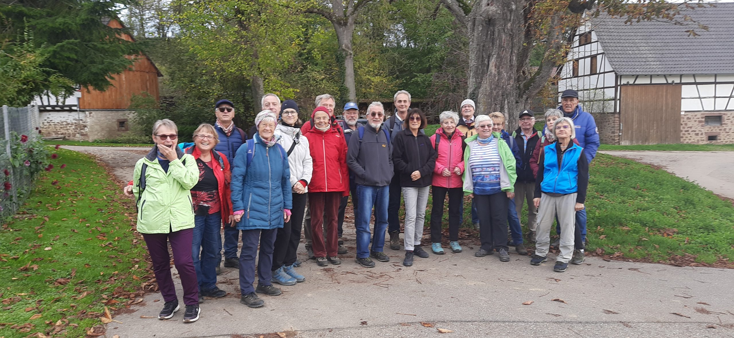 Novemberwanderung des TV Neulingen