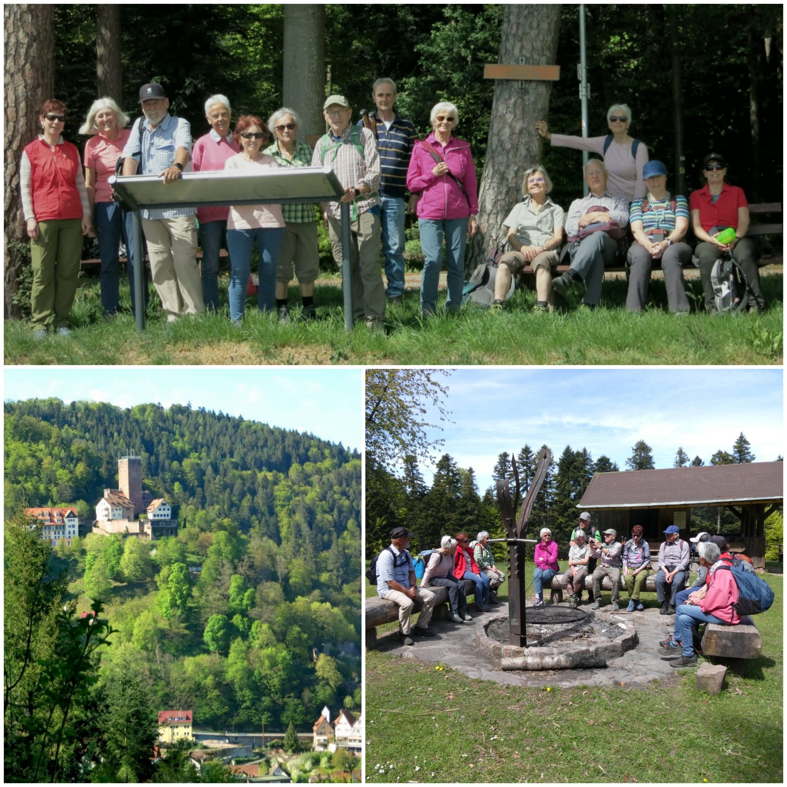TV- Wandergruppe unterwegs von Bad Liebenzell nach Beinberg