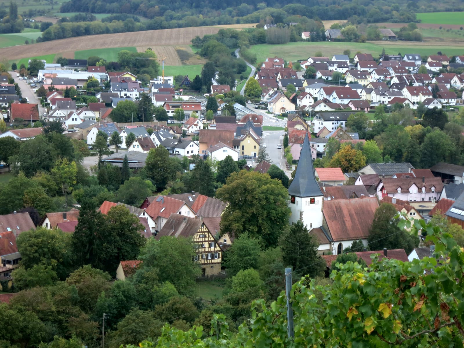 Gemeinsame Wanderung rund um Güglingen